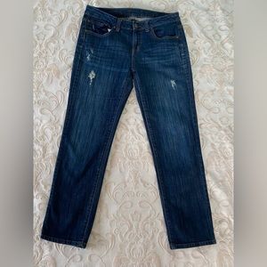 JENNIFER LOPEZ WOMENS SIZE 4 blue 16 x 36 inches cutout head.